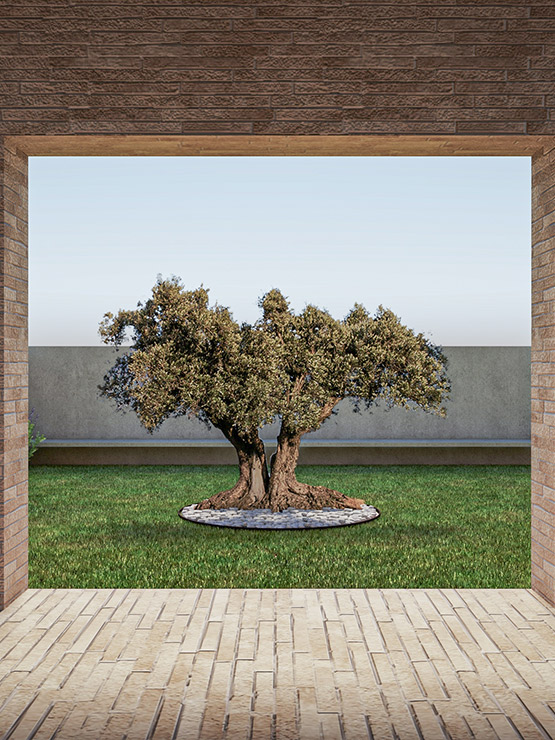 Render esterno