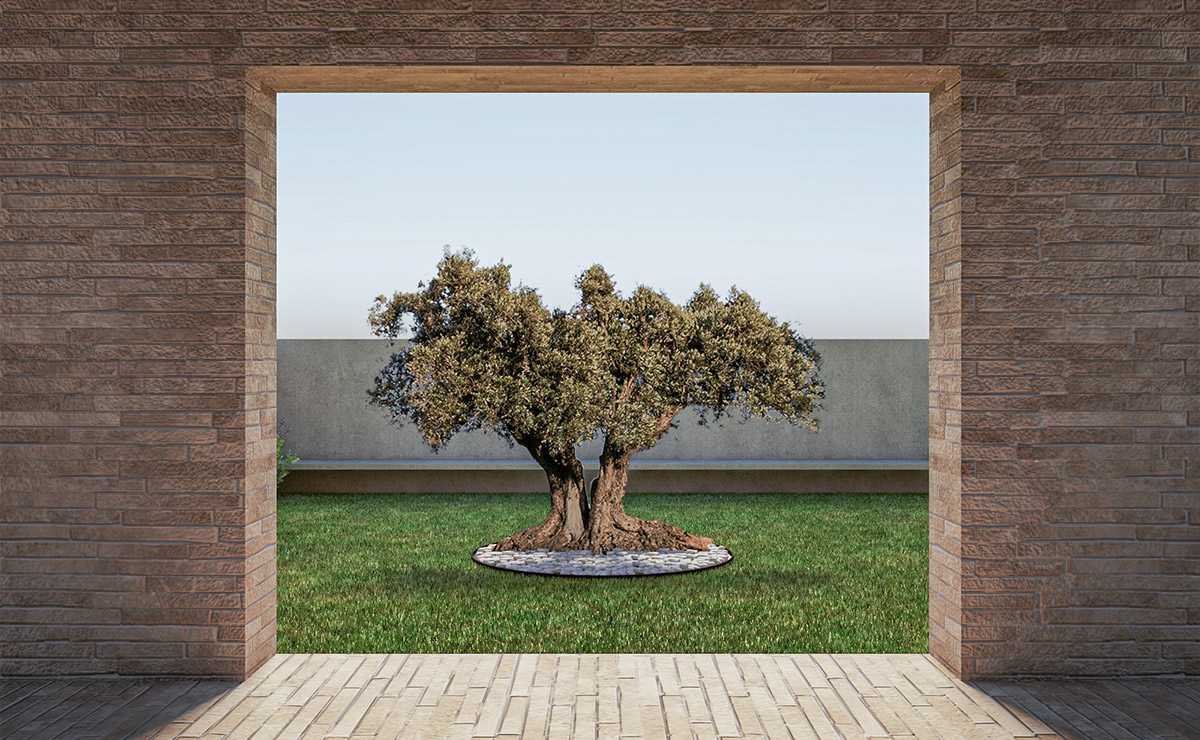 Render esterno